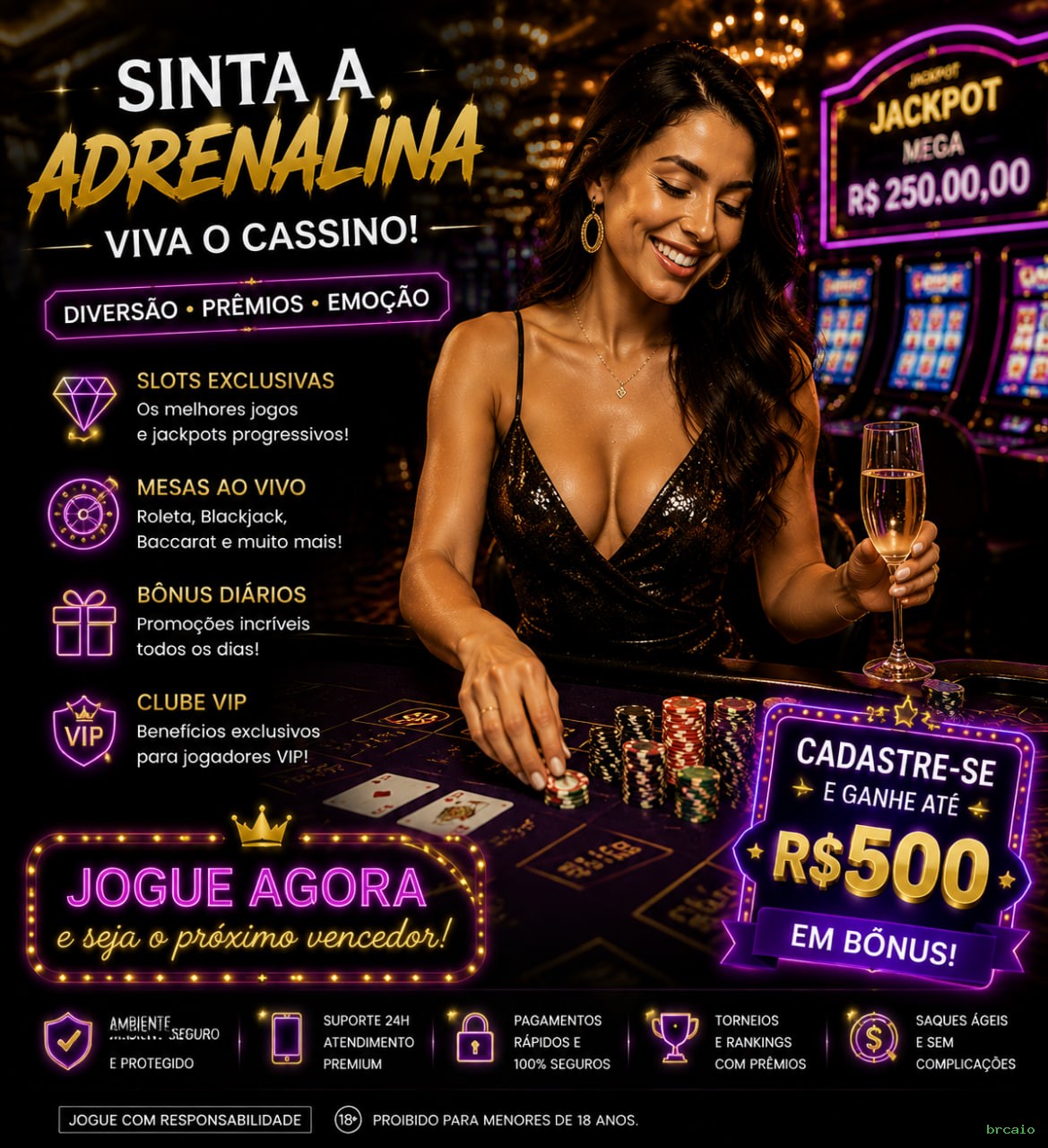brcaio Segurança